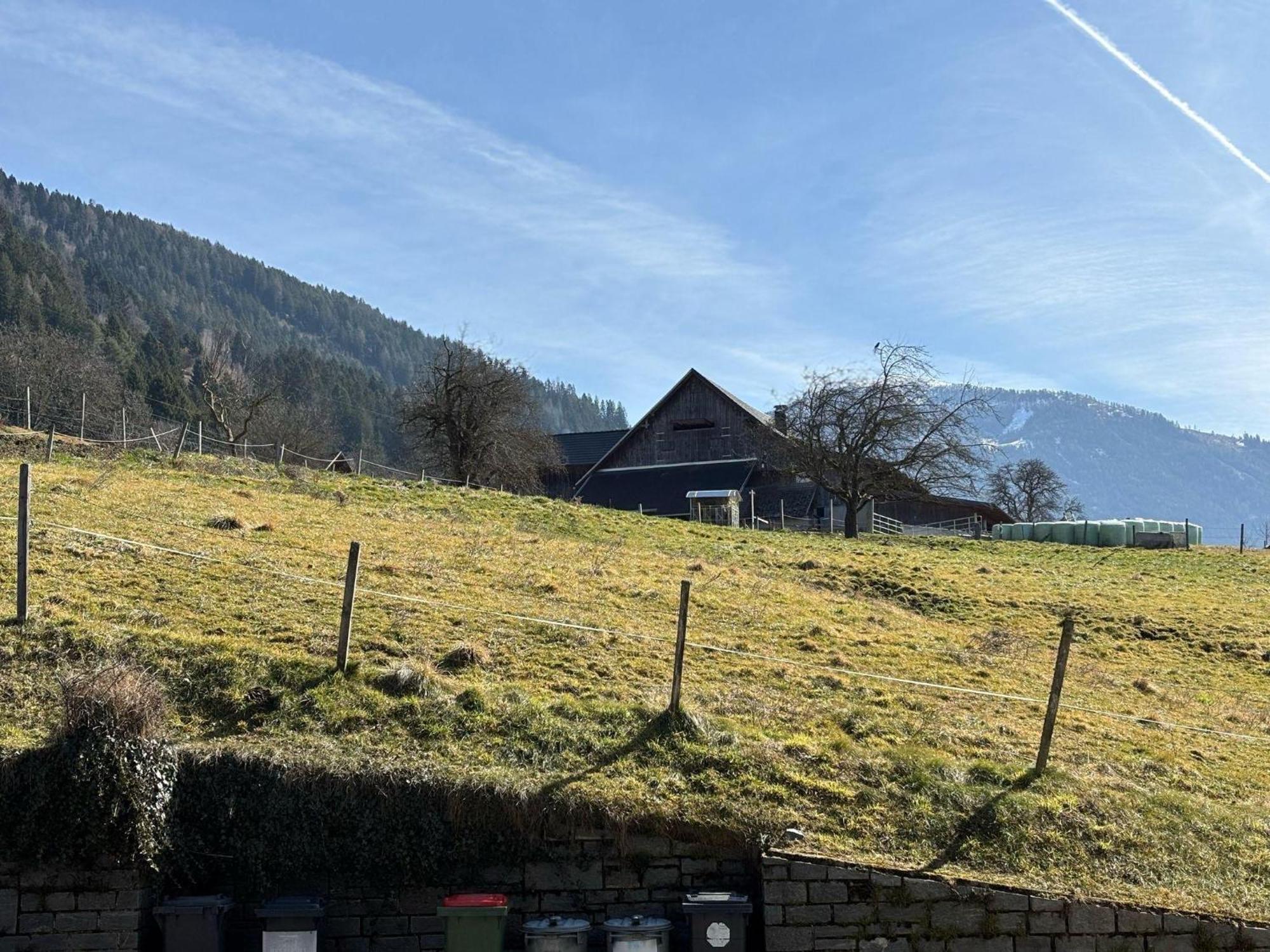 Moderne-Ferienwohnung-Nur-1Km-Vom-Millstaetter-See-In-Kaernten-Entfernt Millstatt Exterior foto